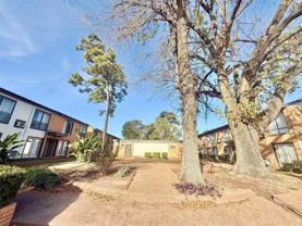 MACGBS - Photo 1 of 1