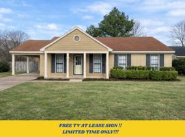 featured image of 7084 Texel Cv