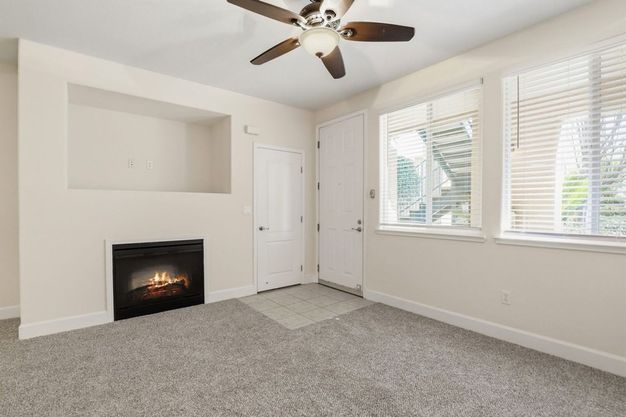 The Phoenician Collection - Photo 2 of 50