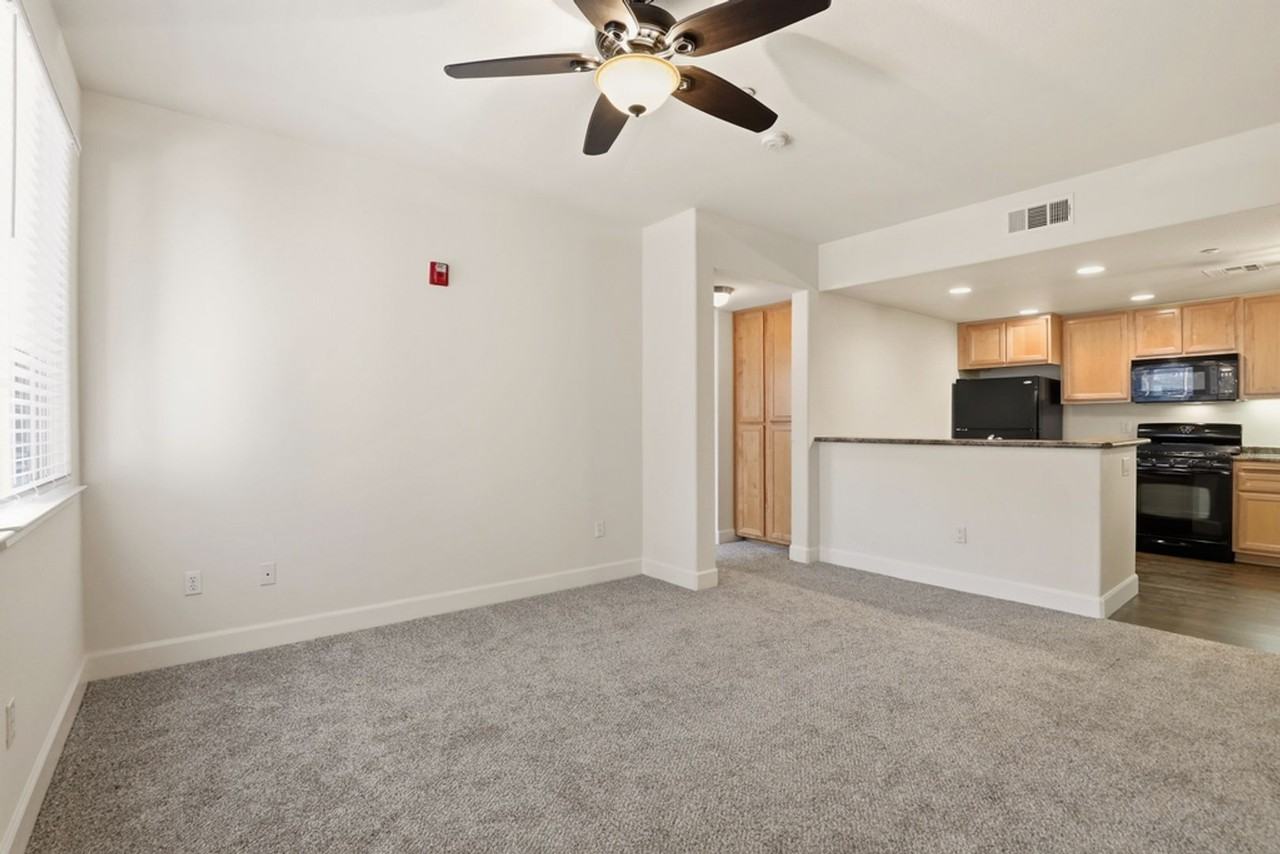 The Phoenician Collection - Photo 3 of 50