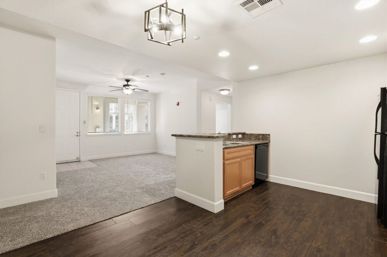 The Phoenician Collection - Photo 4 of 50