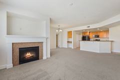 The Phoenician Collection - Photo 1 of 1