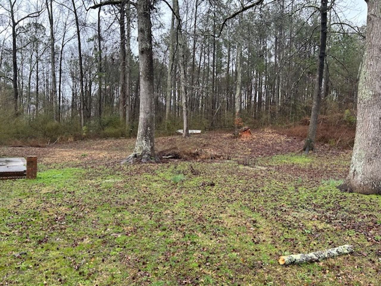 75 Red Oak Dr - Photo 6 of 19