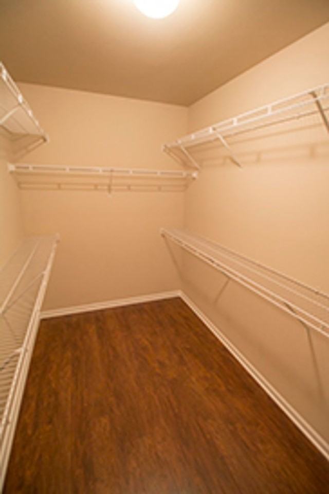 2604 Misty Wood Ct - Photo 2 of 32