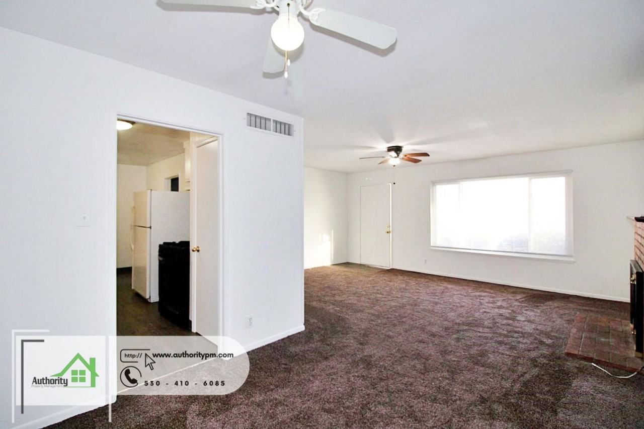 3120 Stingy Ln - Photo 6 of 22