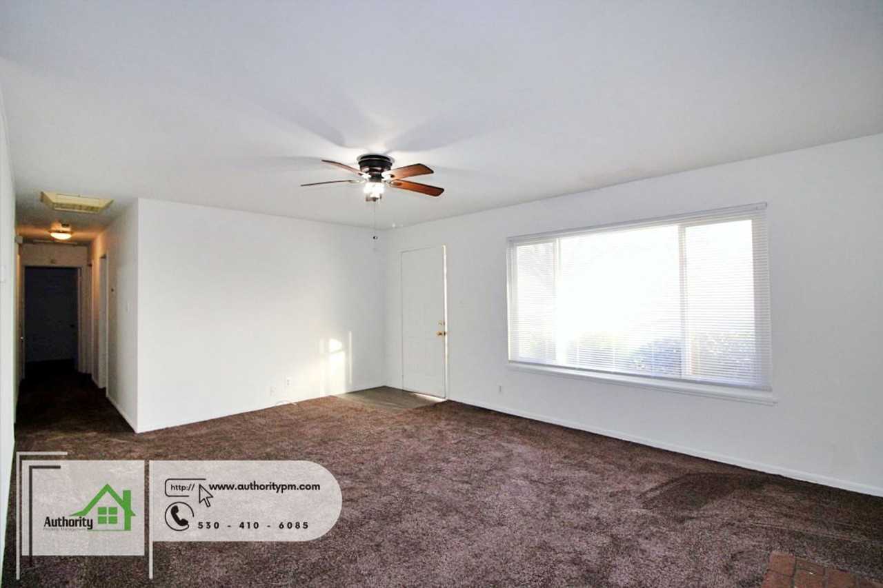 3120 Stingy Ln - Photo 7 of 22