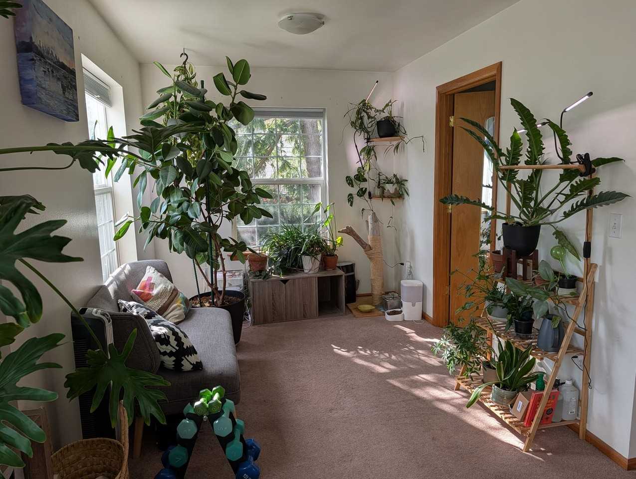 2319 S 18th St - Photo 7 of 13