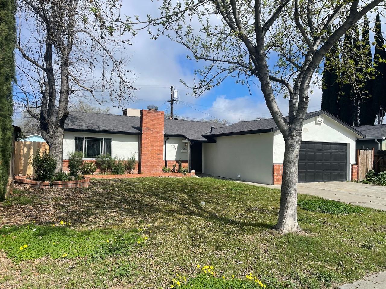 239 239 E 20th St - ST T 239 - Photo 2 of 21