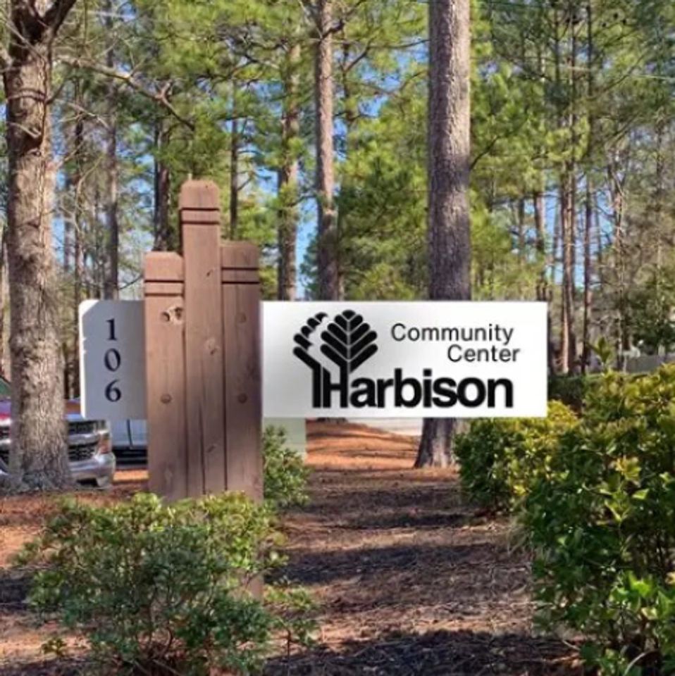 117 Shadowpine Rd - Photo 3 of 6