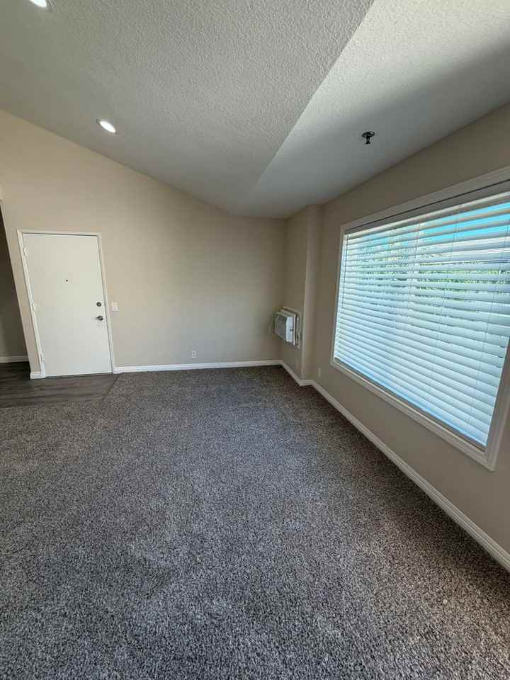 1216 Patricia Ave #205 - Photo 4 of 14