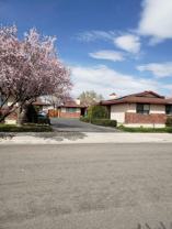 405 Wonder St #A - Photo 1 of 1