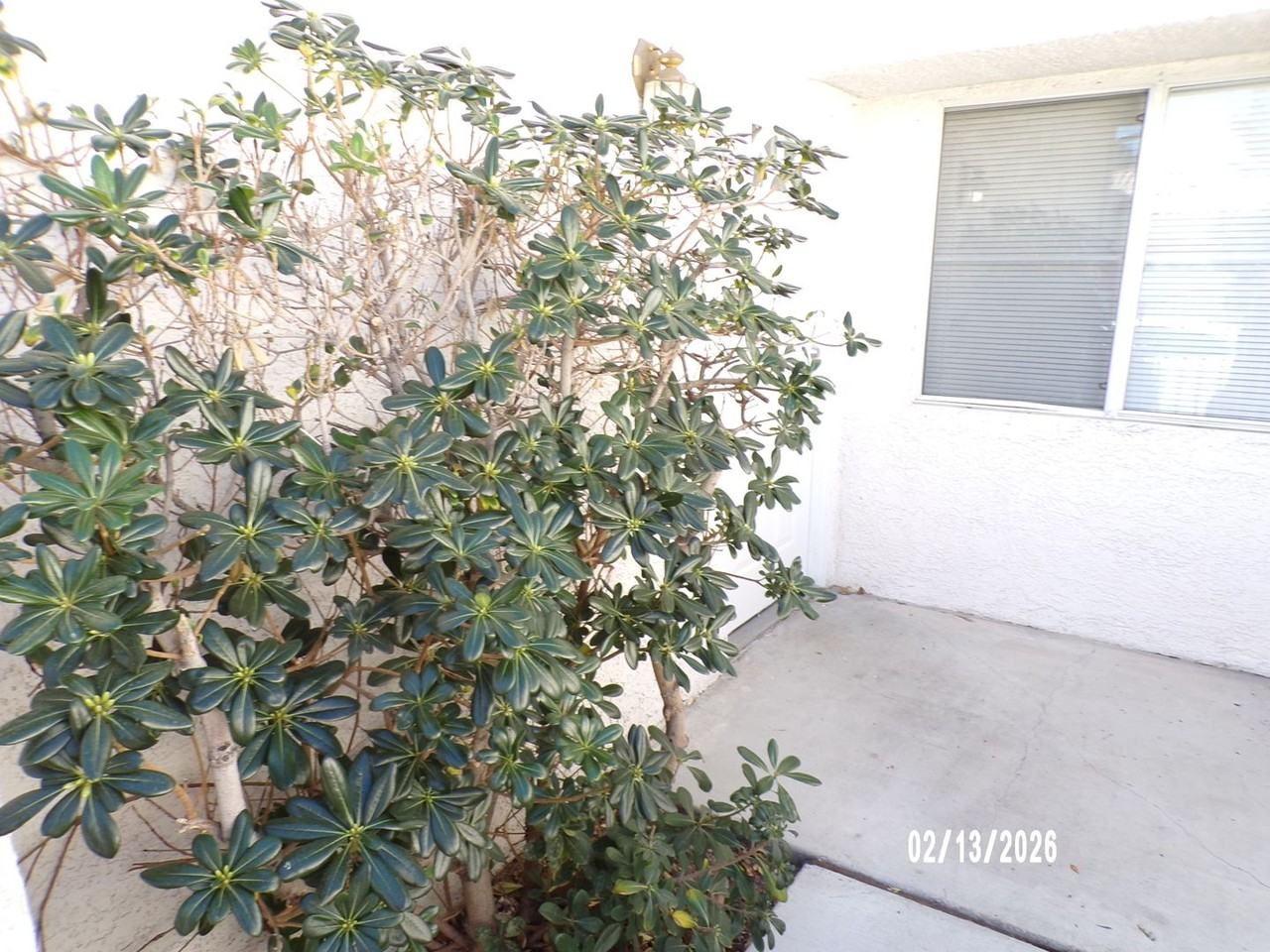 5121 Briar Meadow Way - Photo 3 of 19