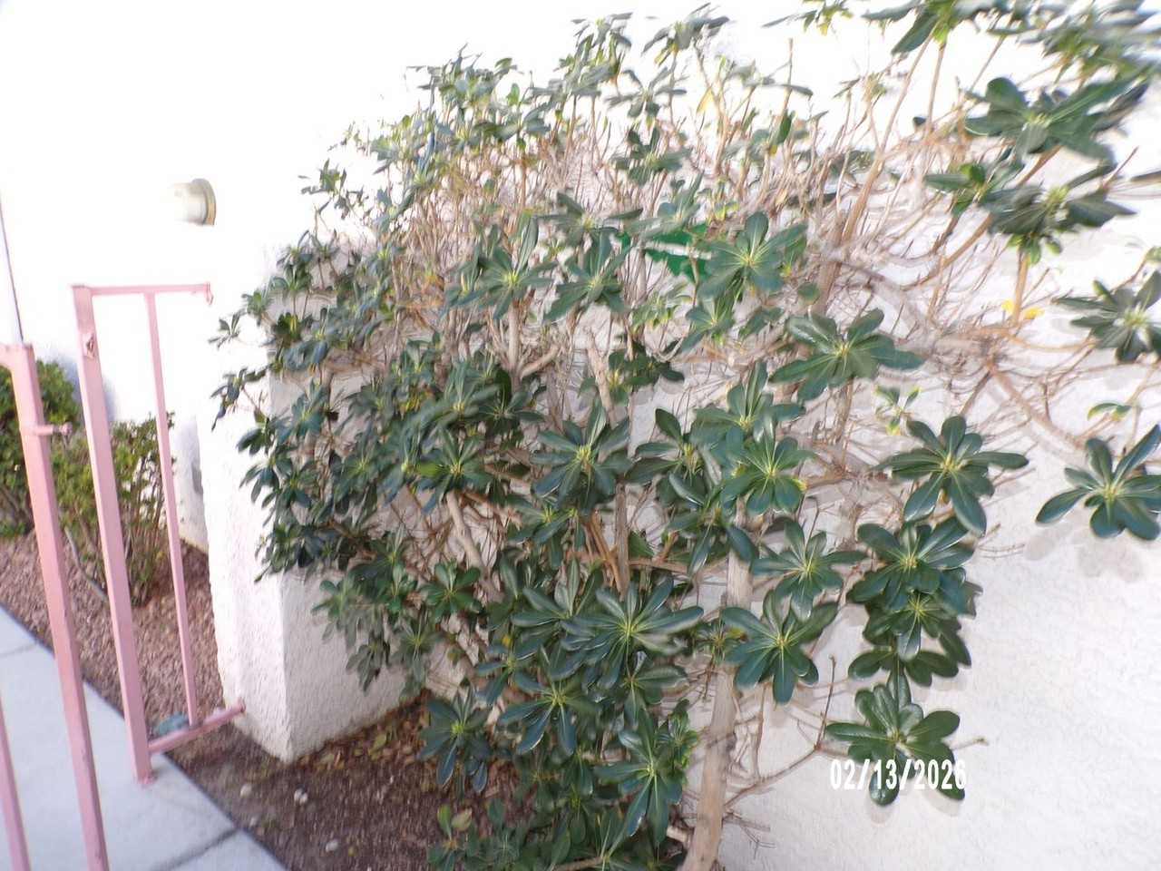 5121 Briar Meadow Way - Photo 4 of 19