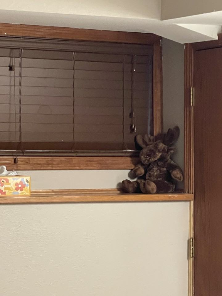 3175 W Riverdell Dr - Photo 4 of 20