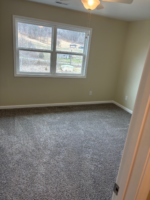 135 Old Fall Creek Rd - Photo 2 of 11