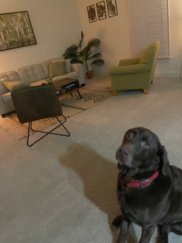 1015 Heathercroft Cir #200 - Photo 4 of 13