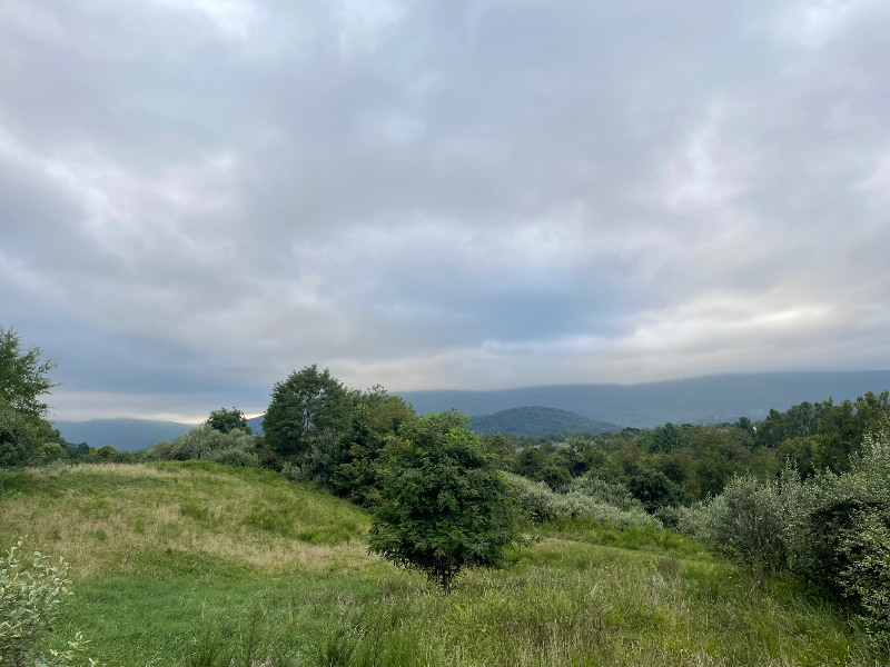 1015 Heathercroft Cir #200 - Photo 5 of 13