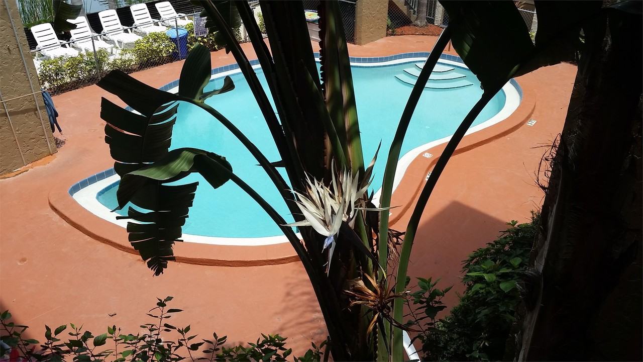 Lakeshore Apartments - Photo 5 of 9