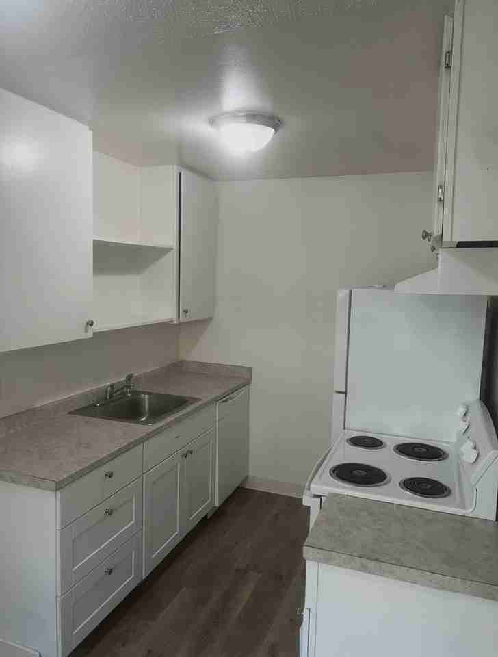 10335 White Rock Road - Photo 4 of 8