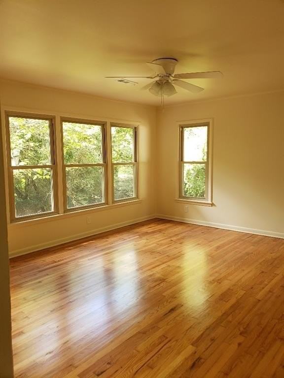 911 E Rodgers Dr - Photo 2 of 15