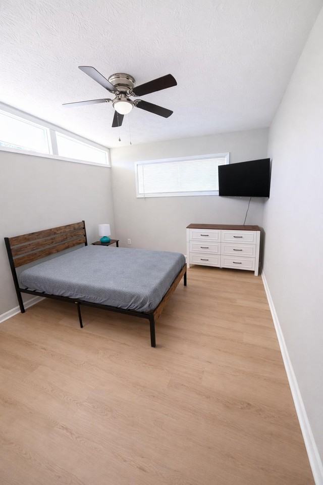 Dorothea Rd - Photo 6 of 6