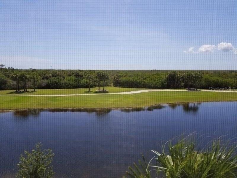 14184 Heritage Landing Blvd #521 - Photo 7 of 43