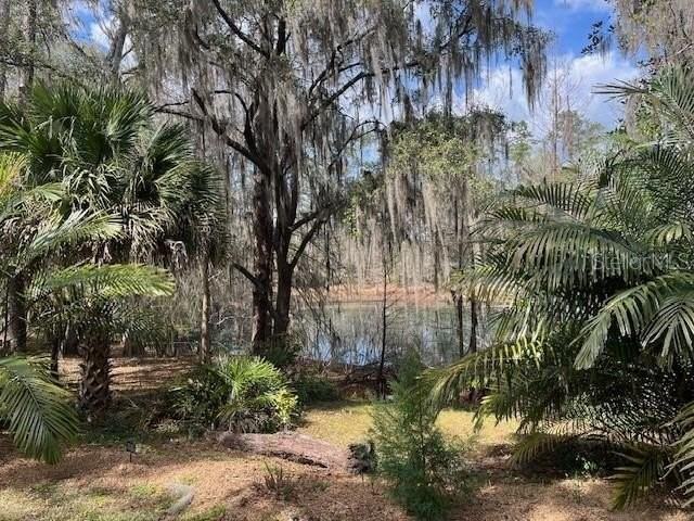 2049 Nw 9th Ave - Photo 2 of 17