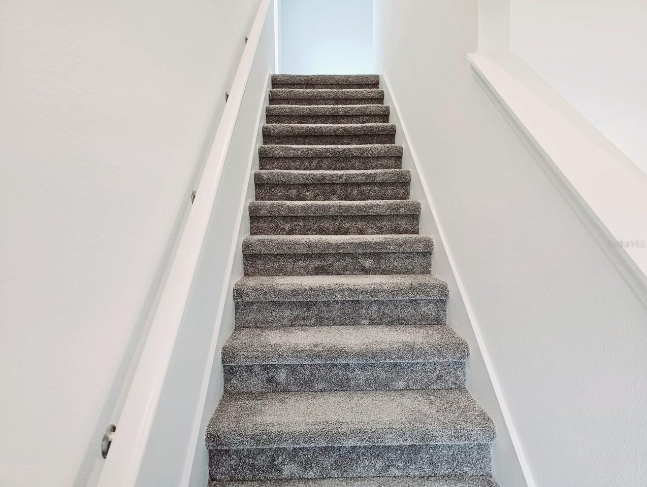 Austin Ter - Photo 6 of 24