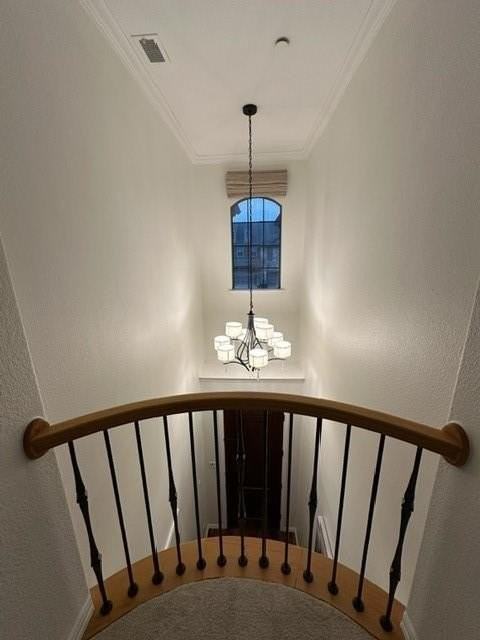 2244 Salado Dr - Photo 5 of 26