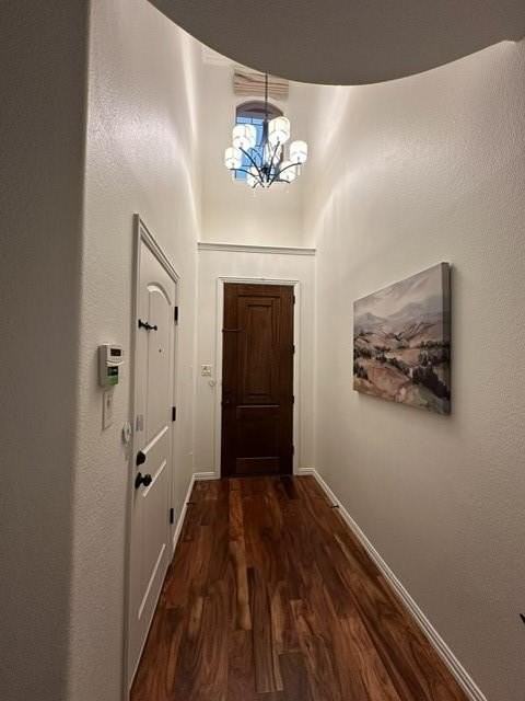 2244 Salado Dr - Photo 6 of 26