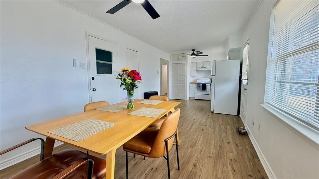 1230 Mcdonald Dr - Photo 7 of 15