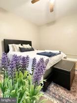 4017 Kansas Ave Nw Apt 1 #Apt 1 - Photo 1 of 1