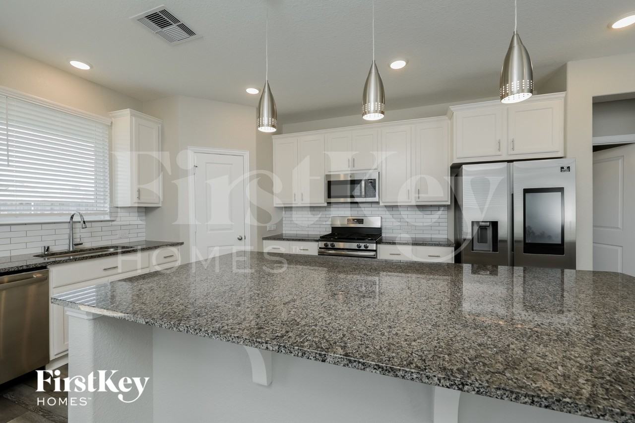 29884 Dovetail Bluff Ln - Photo 6 of 15