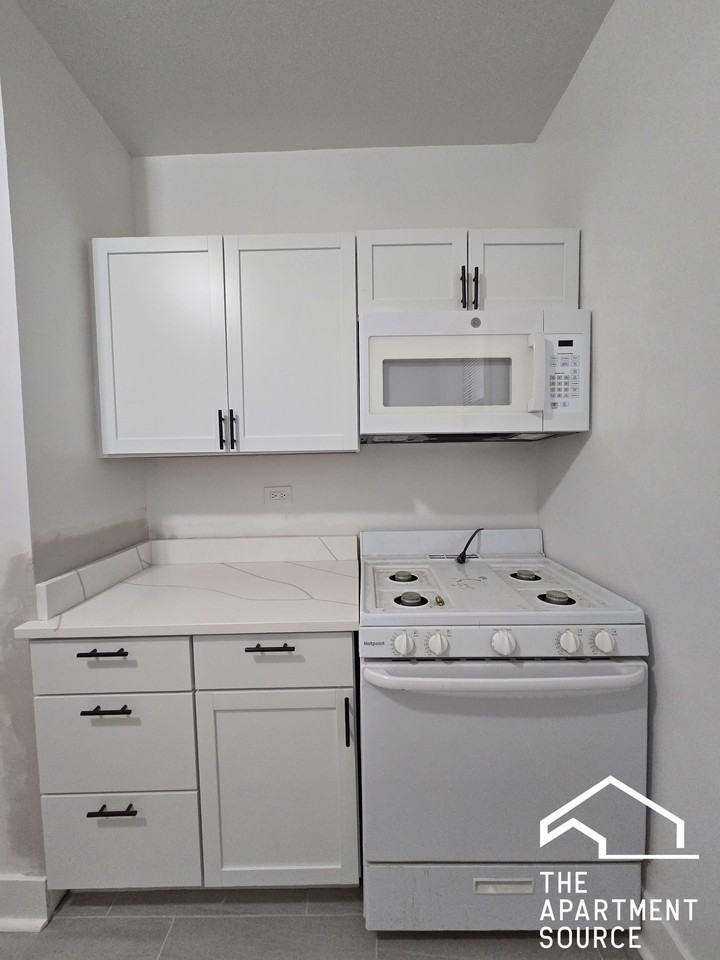 4525 N Paulina St #1A - Photo 7 of 14