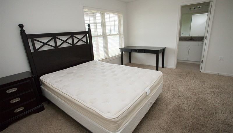 2136 Purple And Gold Way - Photo 6 of 19