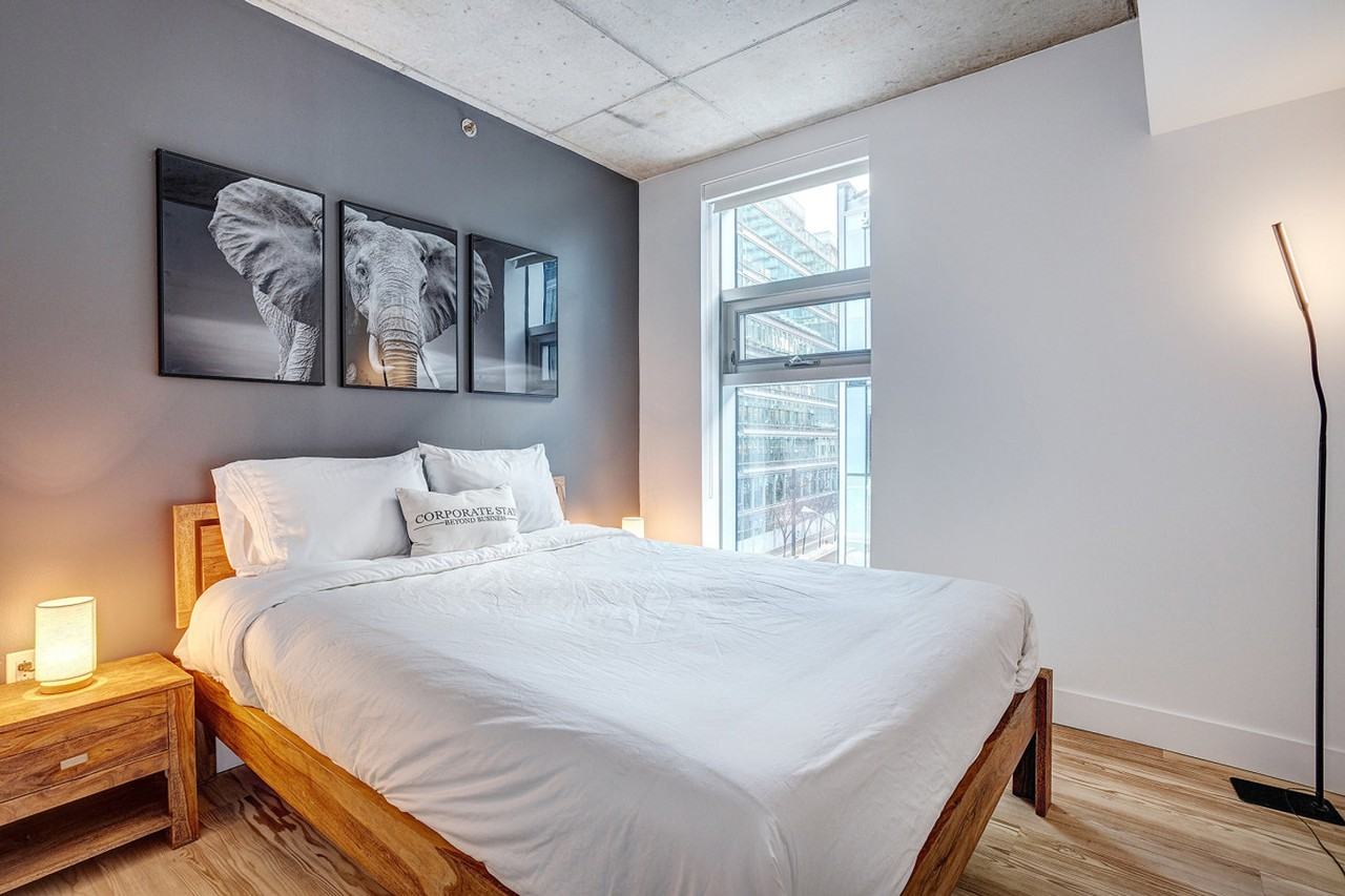 1020 Rue De Bleury #1385503P - Photo 4 of 10