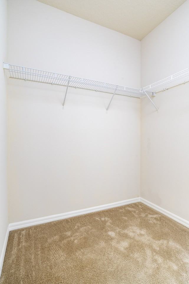 304 Southern Pecan Cir - Photo 5 of 46