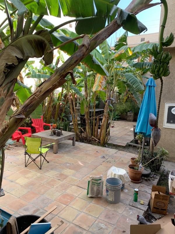 6071 Lexington Ave - Photo 6 of 33