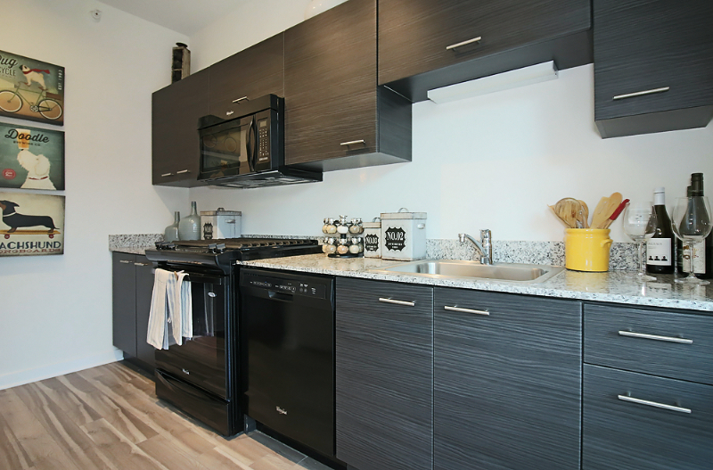 798 N La Salle Dr - Photo 4 of 16