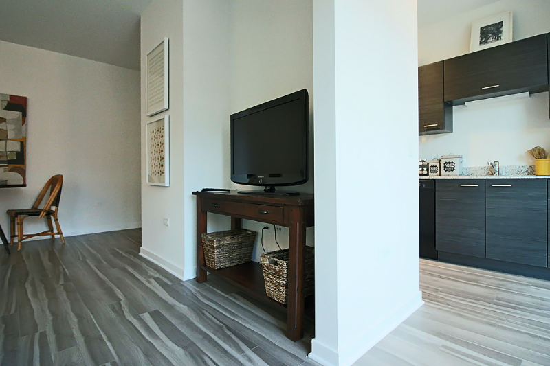 798 N La Salle Dr - Photo 5 of 16