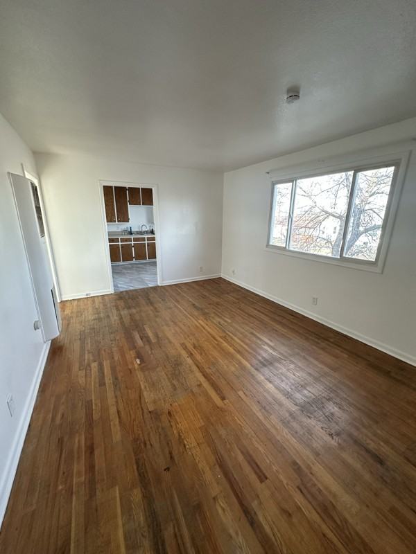 308 Kay Ave #4 - Photo 4 of 15