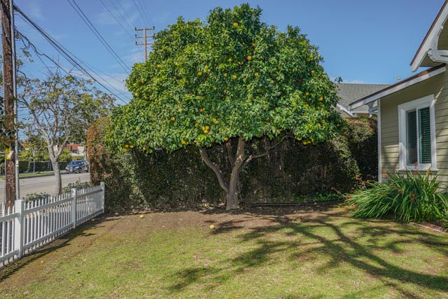 1922 Castillo St - Photo 3 of 13