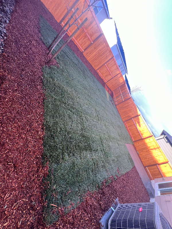 329 Stella St Ne - Photo 2 of 11