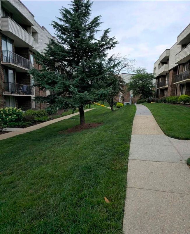 10204 Prince Pl ##308 - Photo 5 of 10