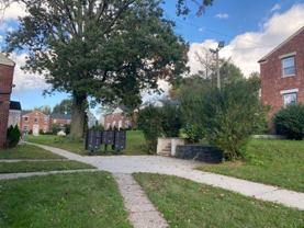 The Mirage - Photo 1 of 1