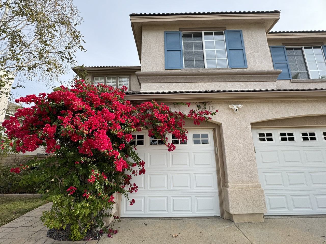 484 Vista Creek Cir #NA - Photo 4 of 5