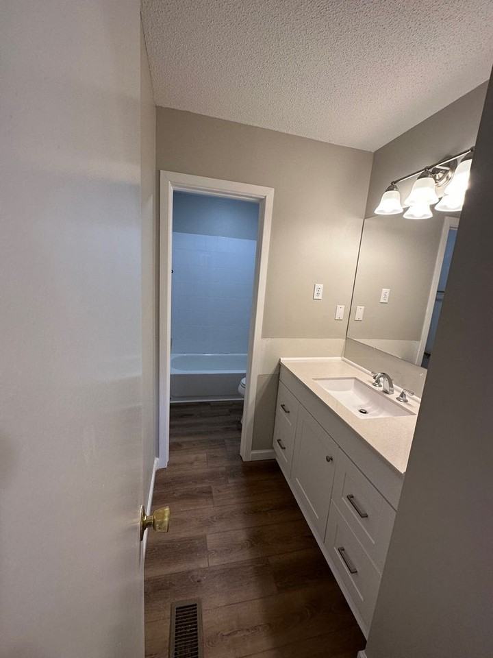 509 Bingham St - Photo 6 of 9