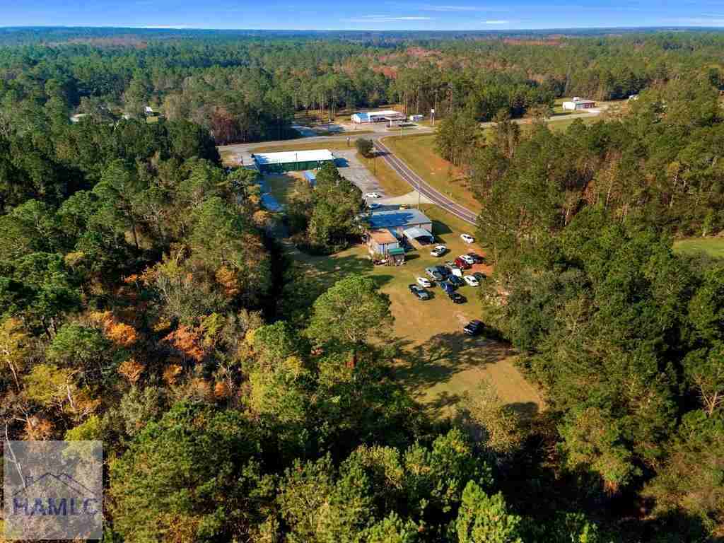 5195 Ga Highway 196 W #1 - Photo 3 of 18