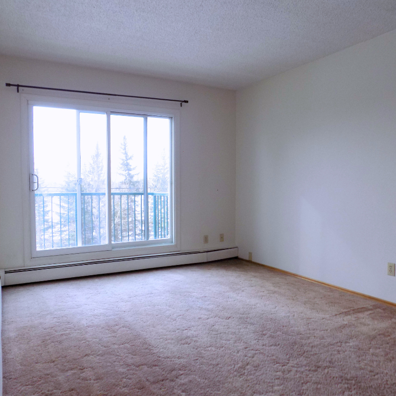 10327 107 Ave #106PR - Photo 3 of 8