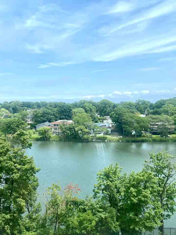 Leland Ave & Pelham Rd #1 - Photo 4 of 5